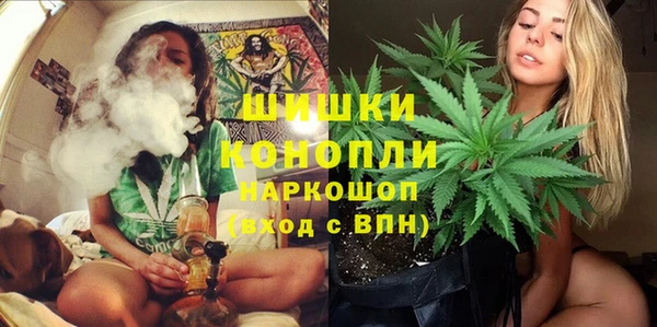 гидра Алексеевка