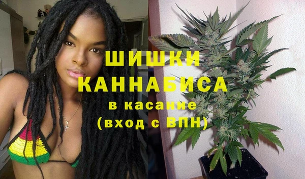гидра Алексеевка