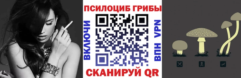 Псилоцибиновые грибы Cubensis  Тюкалинск 